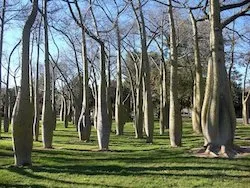 בפארק של ולנסיה